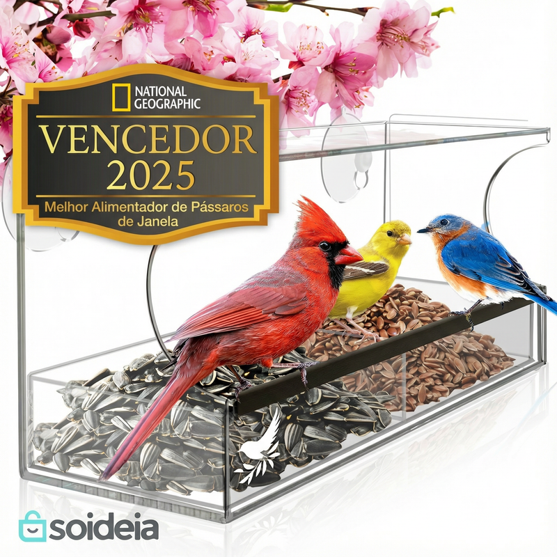 Alimentador de pássaros para janela com ventosas fortes e bandeja para sementes